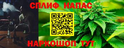 мяу мяу мука Краснознаменск