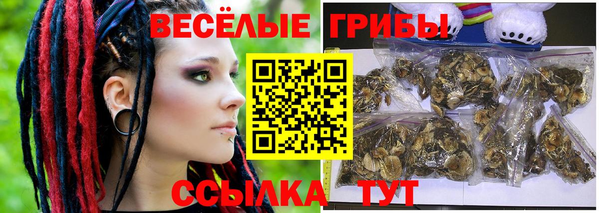 цена наркотик  Псилоцибиновые грибы мухоморы  Вход с VPN  Галлюциногенные грибы Magic Shrooms  Кировск 