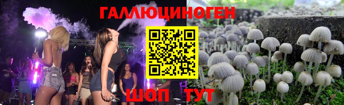 Псилоцибиновые грибы мицелий Кировск